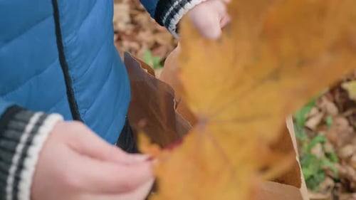 Niño recogiendo hojas de otoño en una bolsa de papel marrón al aire libre