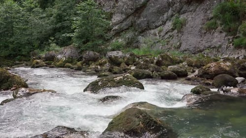 Mountain River Flowing Between Rocky Shores in Woodland at Sunrise in Foggy Weather Beautiful
