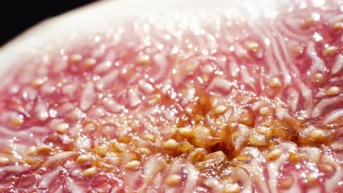 Sliced Half of Healthy Juicy Ripe Fig Dolly Slider Extreme Macro Seasonal Fruit Details Closeup