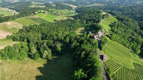 Sunset Vineyards Styria Austria Summer Hills From Drone