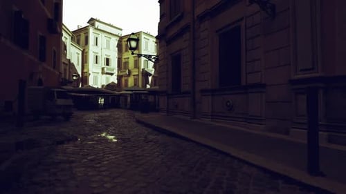Sunshine Brightens Tight Alley with Detailed Cobblestone Pavement