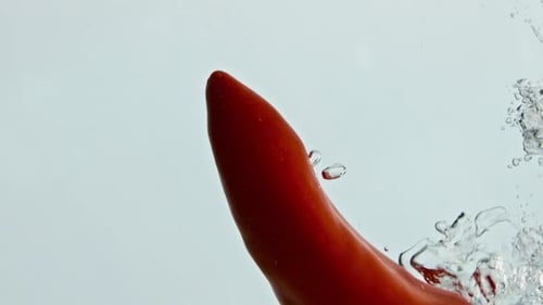 Red Chili Pepper Dropped in Clear Water