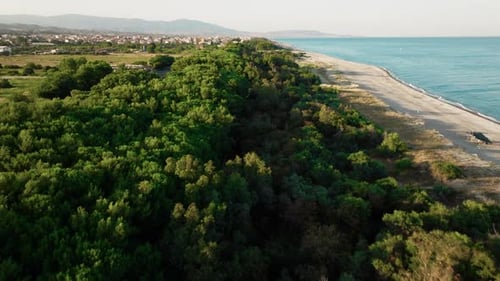 Over Mediterranean Bush Aerial View