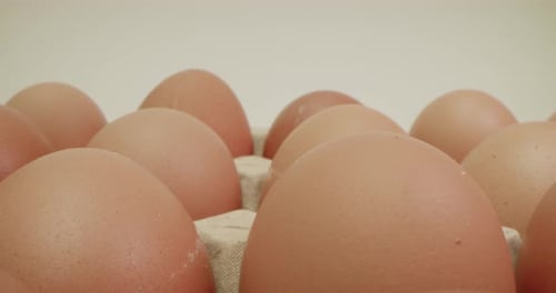 Egg Production Facility Concept Chicken Eggs Many Brown Eggs Macro Camera Slide Lots of Fresh