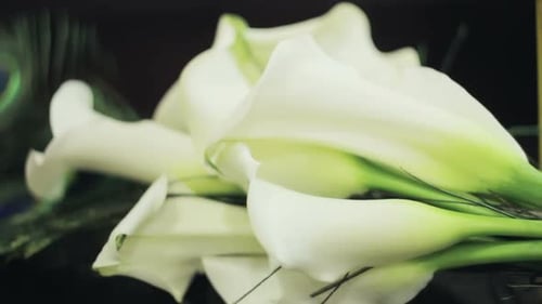 Bridal Bouquet with White Flowers and Peacock Feathers