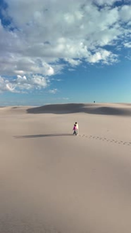 Explorez les dunes sereines de Rabjerg Mile, dans le Jutland, au Danemark, par une belle journée ensoleillée
