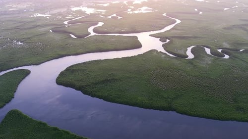 Sweeping aerial view of wide river bends cutting through uninterrupted mangrove terrain,