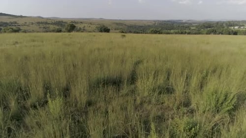 Impressive view of a vast field of green grass that extends until you reach some mountains in the ba