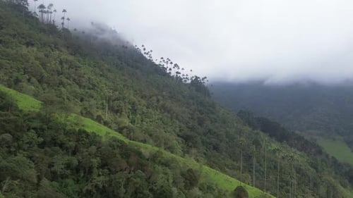Clouds hover above lush green hills in Cocora Valley, Salento, creating a serene view