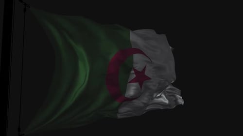 Algeria Flag With Black Background