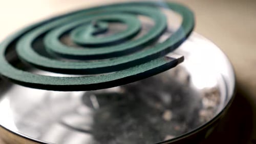 Mosquito Coil Repellent
Close Up Of Mosquito Coil