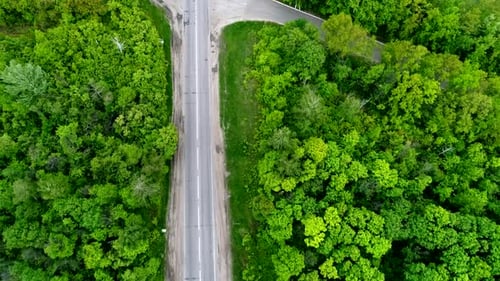 Cars Moving on Road Through Green Forest Aerial