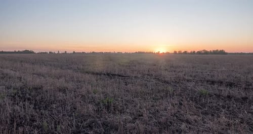 Flat Hill Meadow Timelapse at the Summer Sunrise Time Wild Nature and Rural Grass Field Sun Rays and