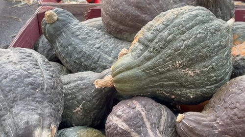 Des gourdes uniques aux imperfections naturelles