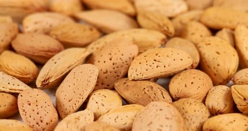 Raw Almonds Nut in Shells Rotating Background. Organic Almond for Vegans. Side View, Healthy Food