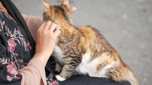 Female Hugging Her Cat People in Live with Cat