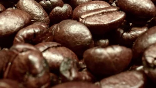 Roasted Coffee Beans Pile Up in Close Up