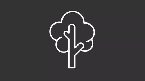 Line Art Tree Icon Drawing Reveal Animation