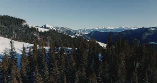 Drone Flies Over Evergreen Forest to Reveal Epic Panorama of Snow Covered Mountains on Cold Frozen