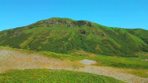 Lush green hills with fresh grass and forest. Clip. Blue summer sky and green mountains.