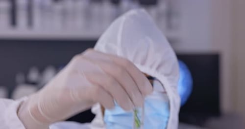 Scientist Examining Plant Sample in Test Tube