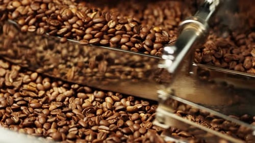 Coffee Beans Roasting in Machine Close Up