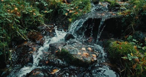 Flowing and Splashing Water on Rocks at Mountain Waterfall in Forest Slow Motion