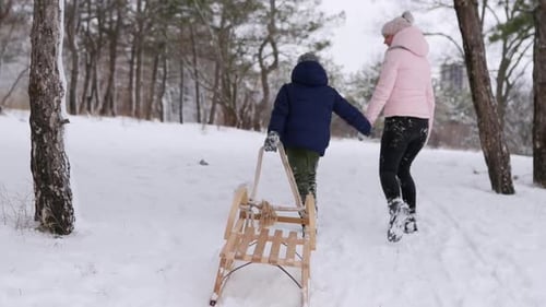 Cute Boy in Warm Clothing Walk with His Mother Pulling Wooden Vintage Sled on Snowy Winter Day
