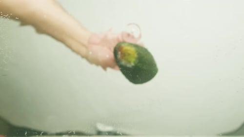 Green Avocado Dropping in Water Fresh Fruits and Vegetables Falling Splashing Into Water Aquarium or
