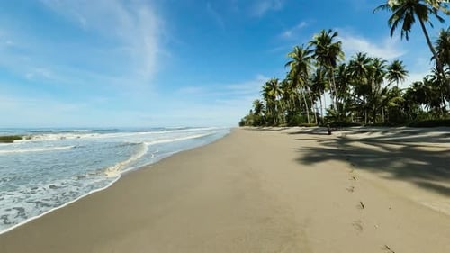Beautiful Tropical Beach