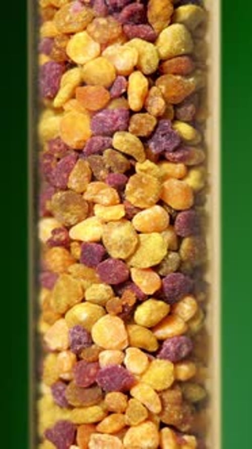 Trockener Pollentee. Rotierende Blütenkörnchen in Zeitlupe auf grünem Hintergrund. Alternative Medizin