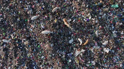 Aerial View of Garbage and Plastic Waste on a Landfill Site