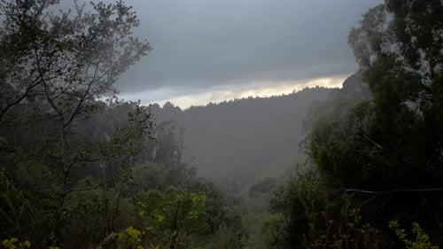 Landscape at Golden Hour
