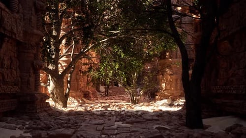 A Narrow Alley with Trees and Rocks on Either Side