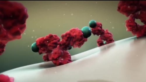 Detailed Medical Science Cellular Molecular Animation