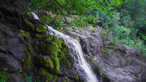 Fließender Wasserfall im Wald.