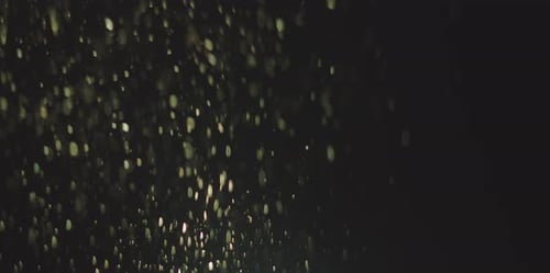 Organic Dust Particles