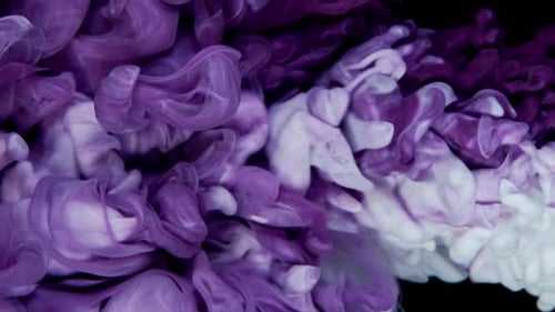 Purple and White Ink Flowing and Mixing