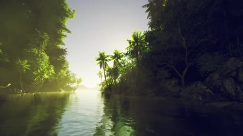 Habitat non perturbé présentant des mangroves denses et des populations d'oiseaux diversifiées