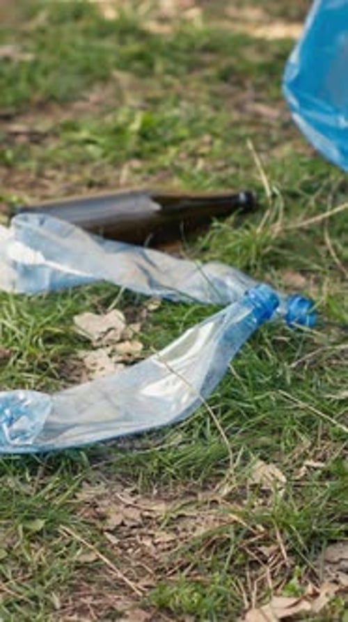 Personas que apoyan la limpieza del medio ambiente natural mediante el acaparamiento de materiales reciclables