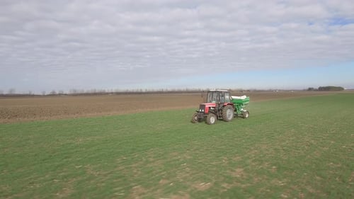Tractor Spreading Dry Mineral Fertilizer On Wheat Field