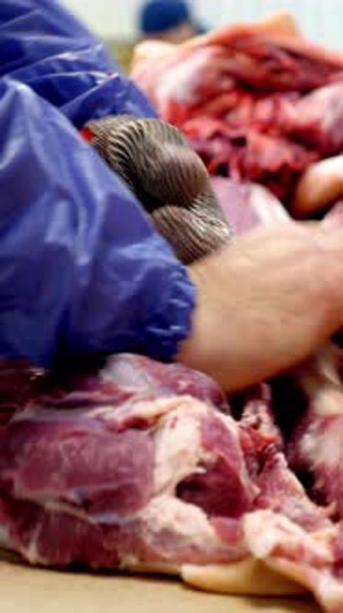 Close up of Person Cutting Red Meat