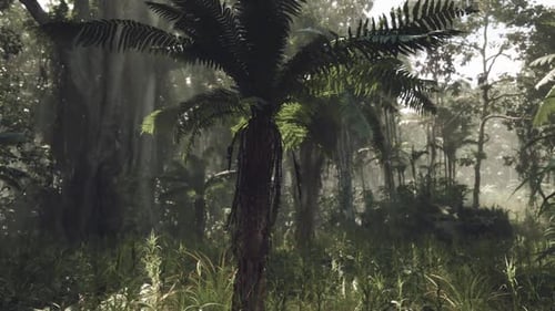 Lush Greenery of the Jungle in China During Early Morning Light