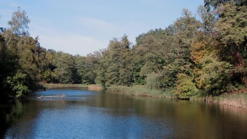 The video showcases a picturesque scene of an autumnal landscape surrounding a tranquil lake