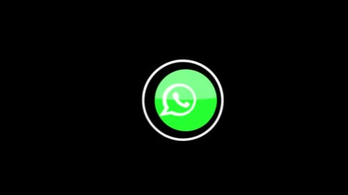 Modern Digital WhatsApp Logo Reveal Animation