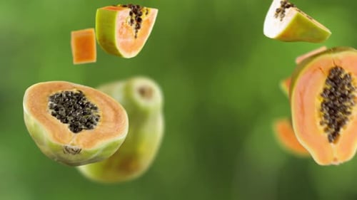 Flying Papaya and Papaya Slices in Green Garden Orchard Shiny Background