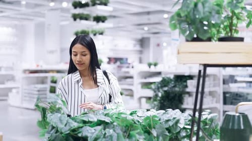 woman browsing and selecting a potted plant in a furniture store
