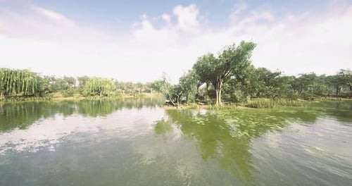 A Calm Lake Mirrors Surrounding Trees Enhancing the Serene Atmosphere