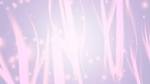 Abstract Bokeh Pink Waves Bubbles Floating Animation Background