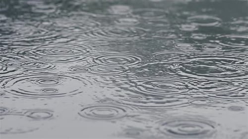 Regen in der Pfütze, Regenwetter